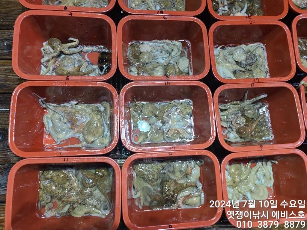 F2721037BR.jpg