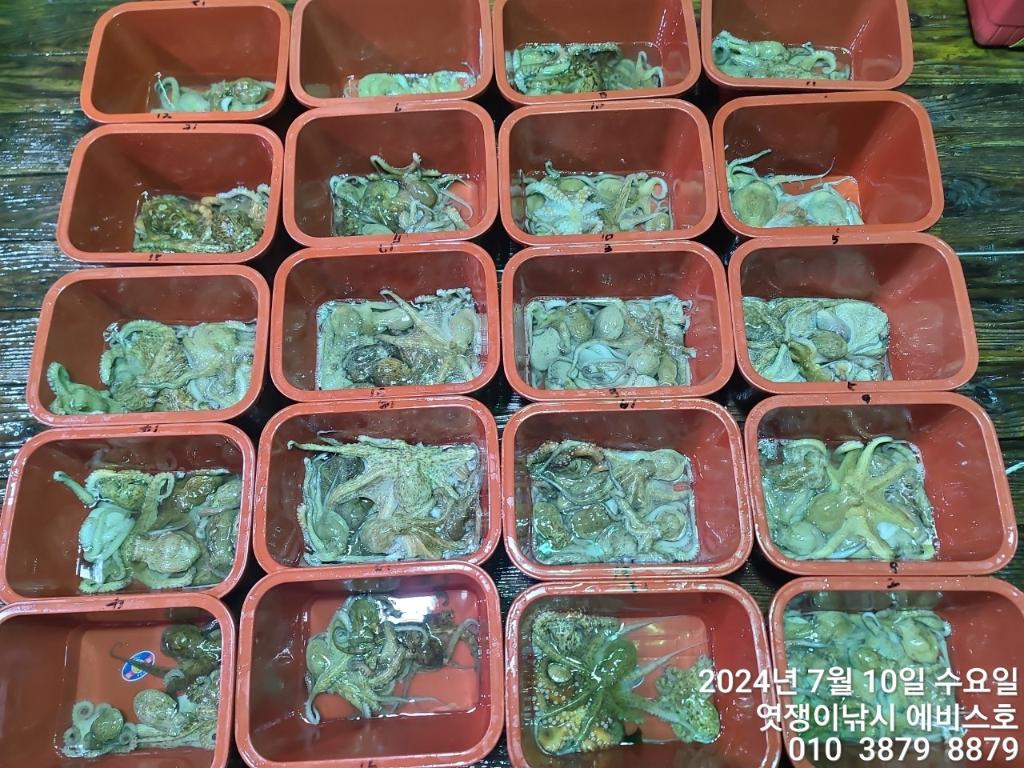 F2721039HD.jpg