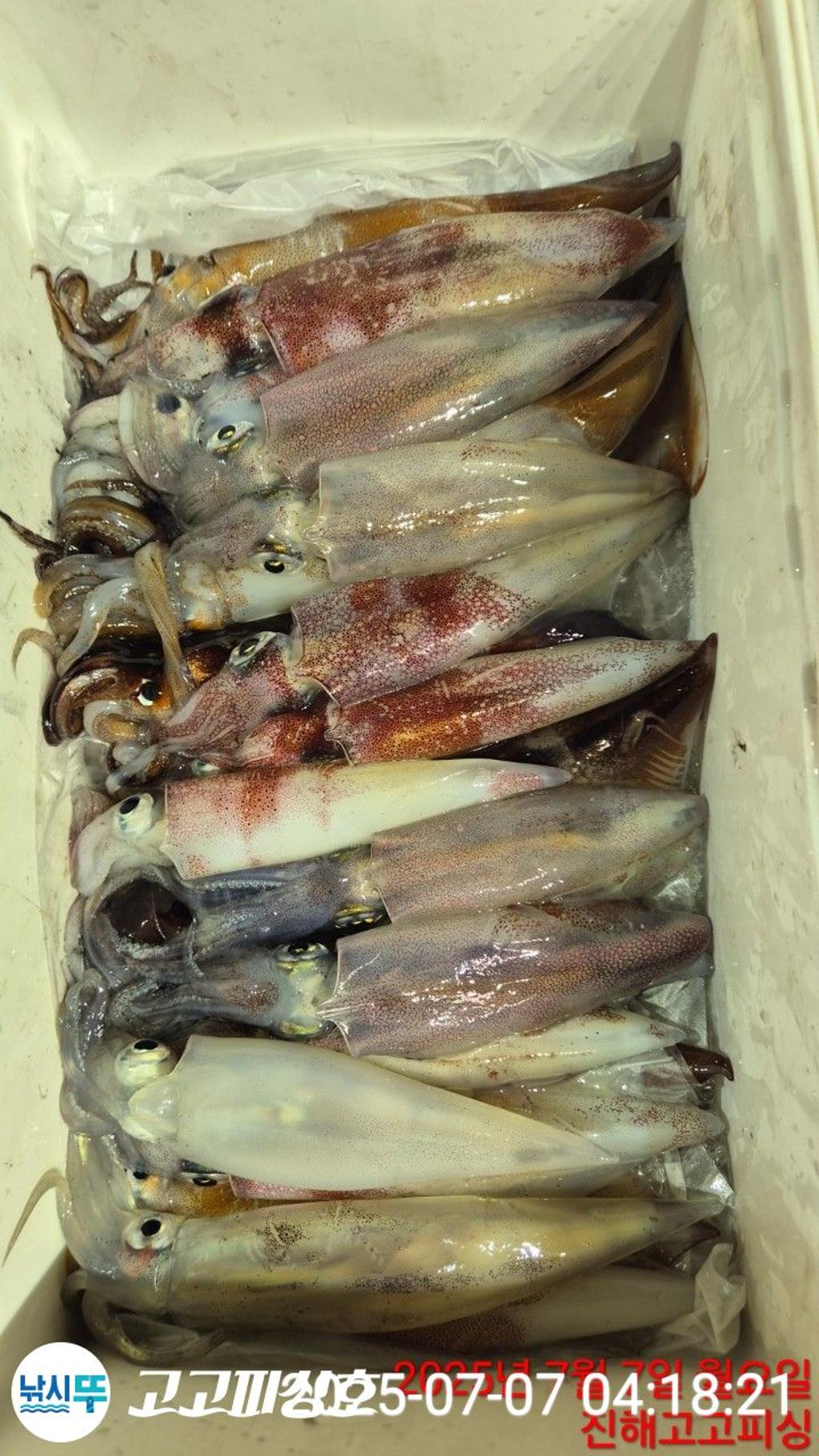 F2722350ML.jpg