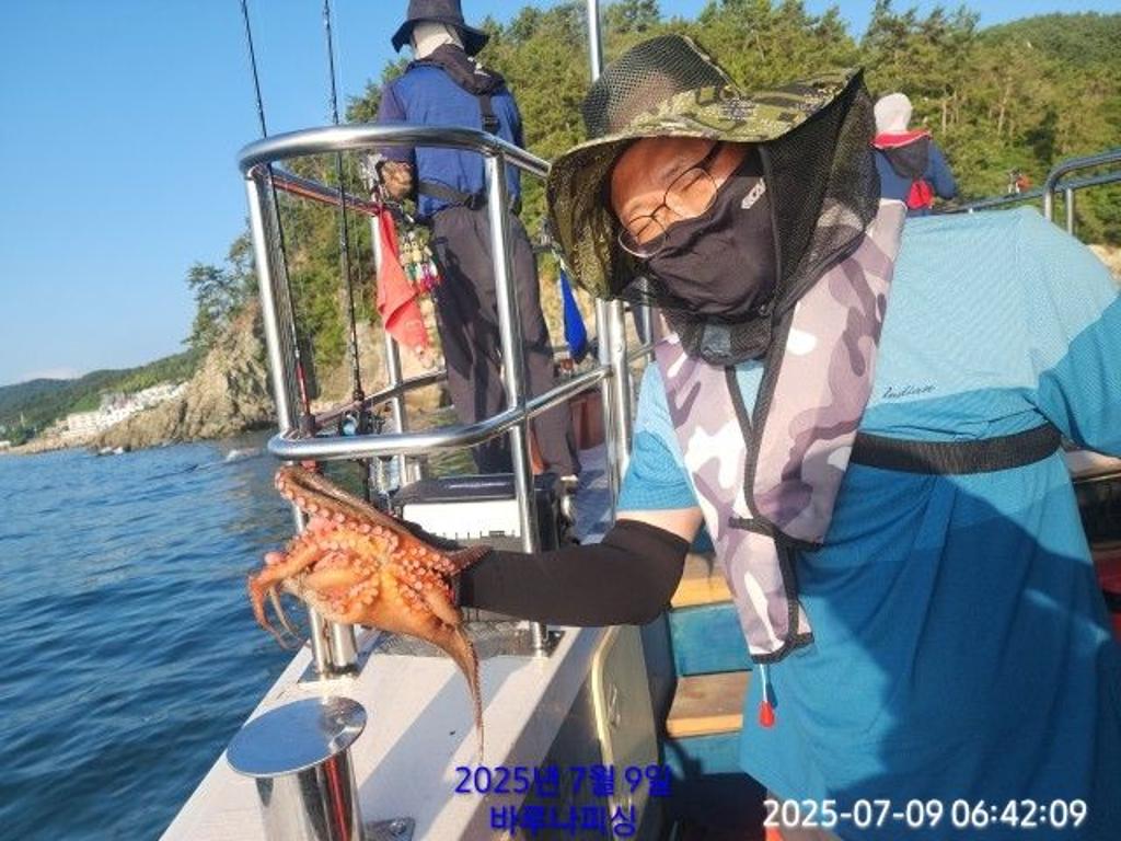 낚시뚜,돌문어,속천항(진해),바루나피싱,낚시뚜1