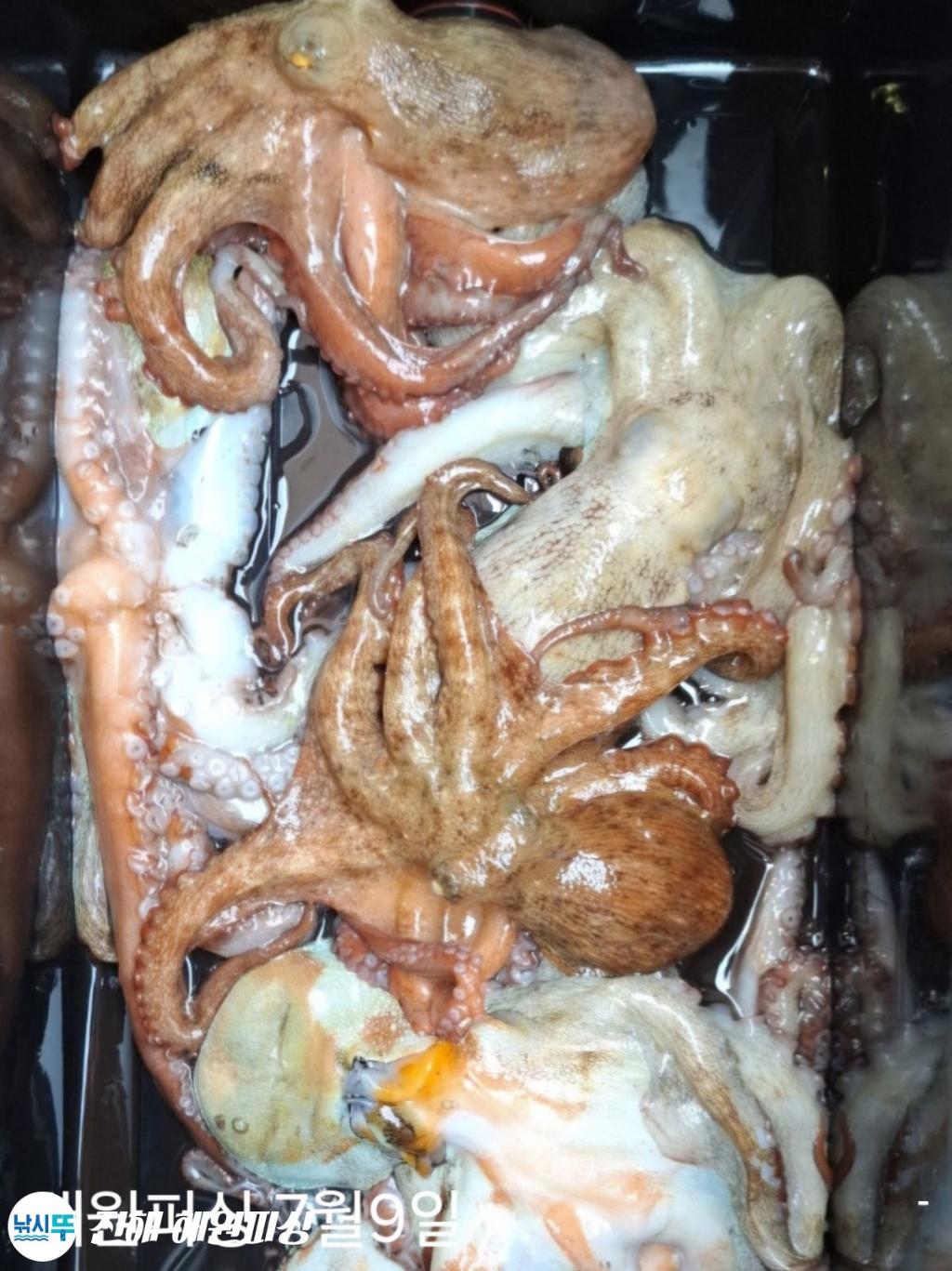 F2722951MF.jpg