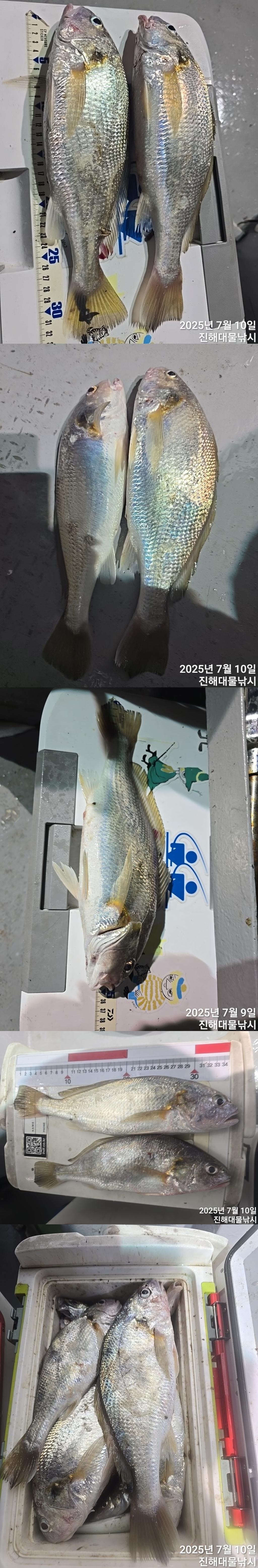 F2723067GS.jpg