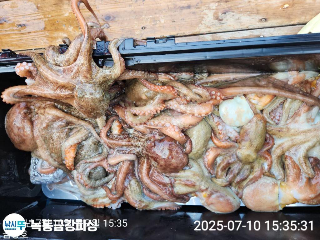 F2723218ZU.jpg