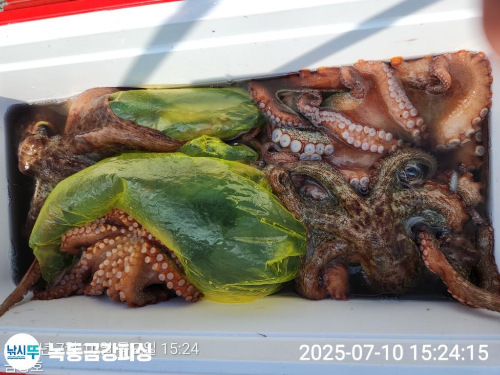 F2723223XC.jpg