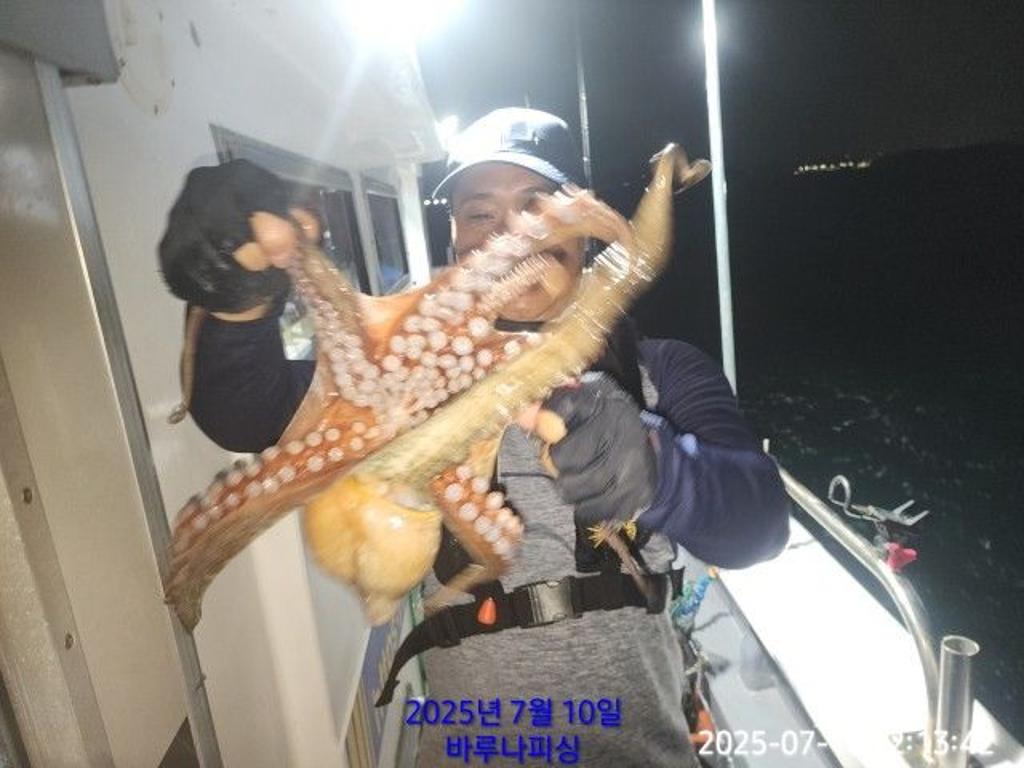 낚시뚜,돌문어,속천항(진해),바루나피싱,낚시뚜4