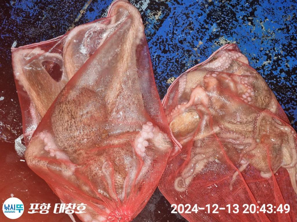 F27232870U.jpg