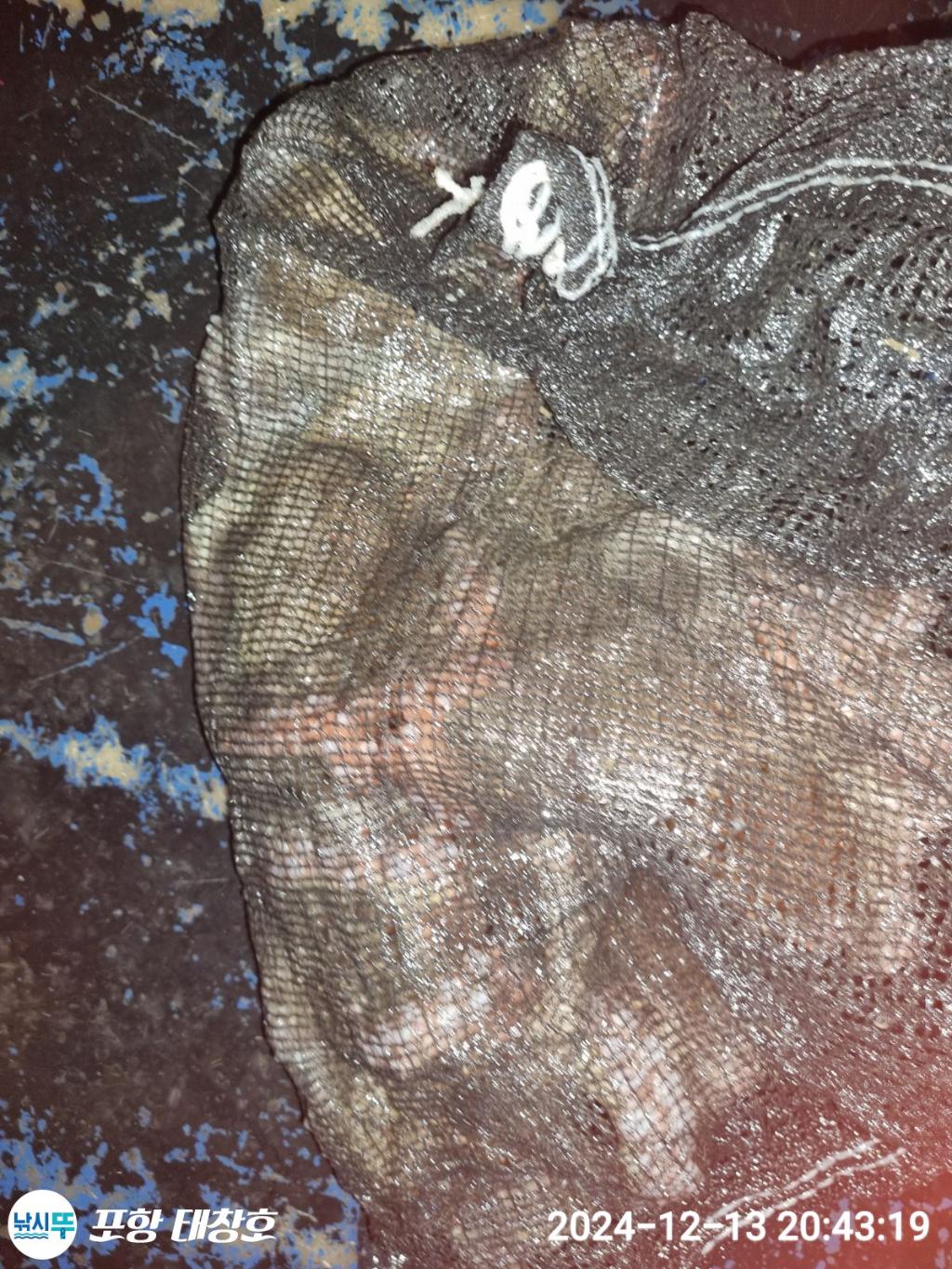 F2723288E8.jpg