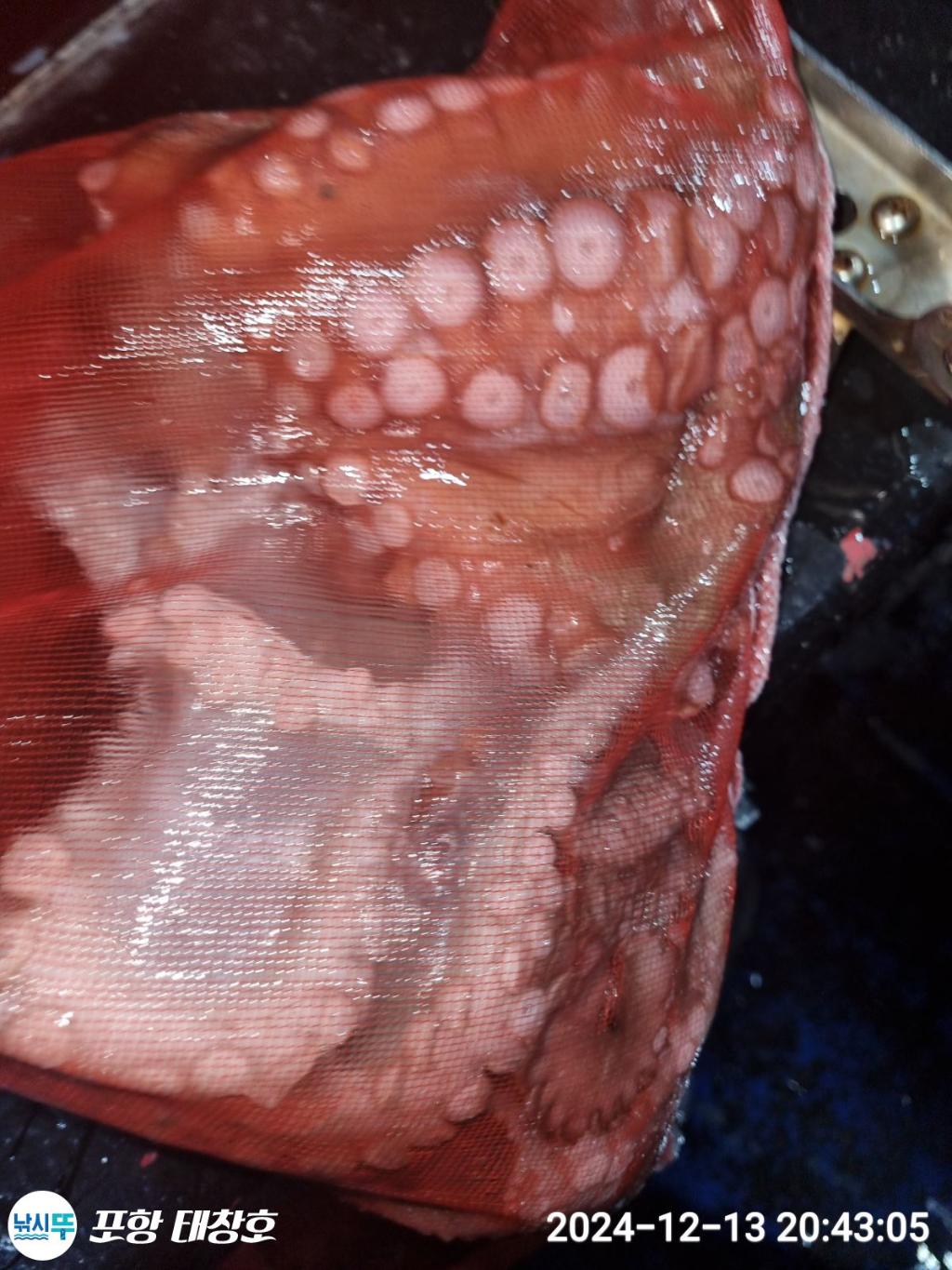 F27232896U.jpg