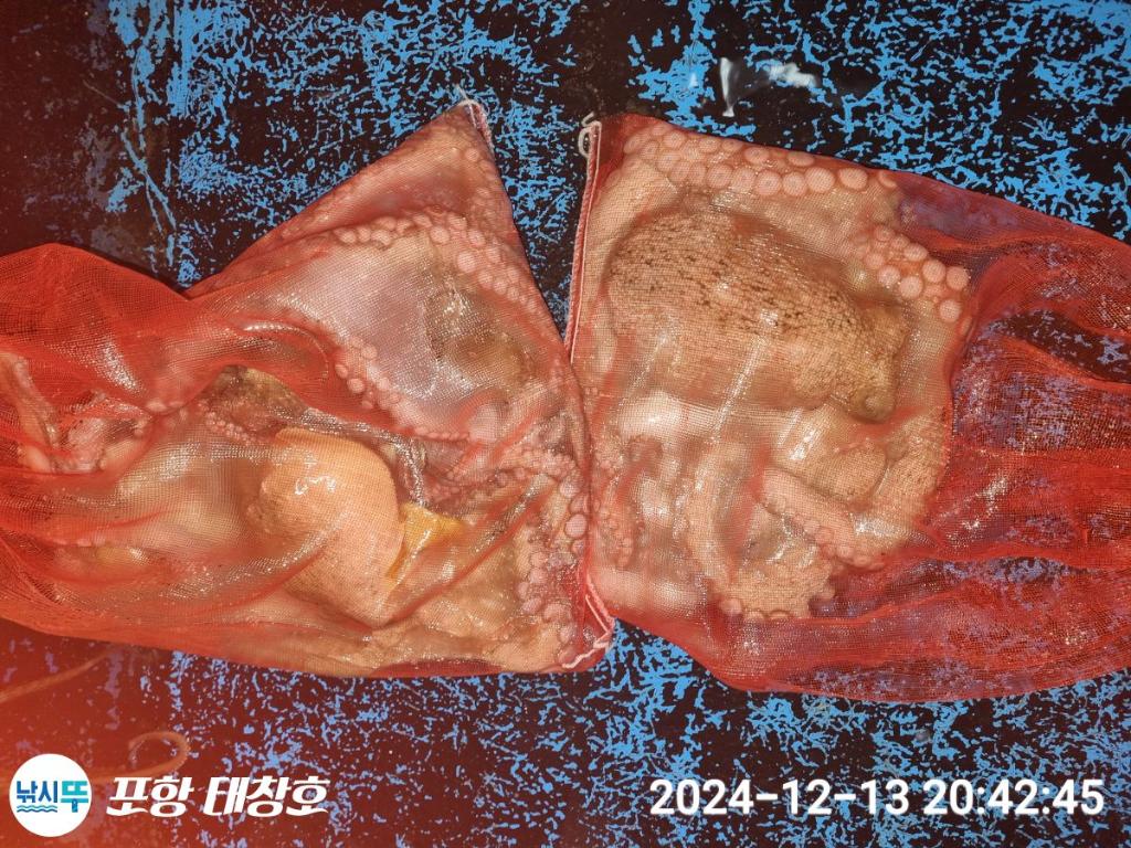 F27232908F.jpg
