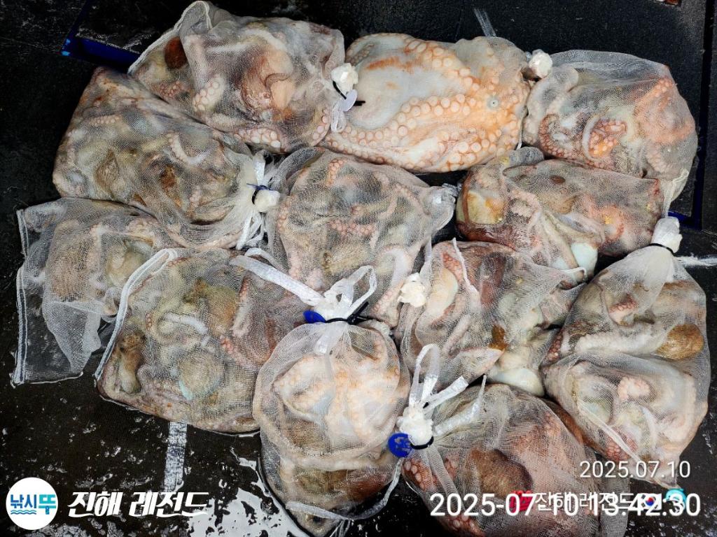 F2723339RY.jpg