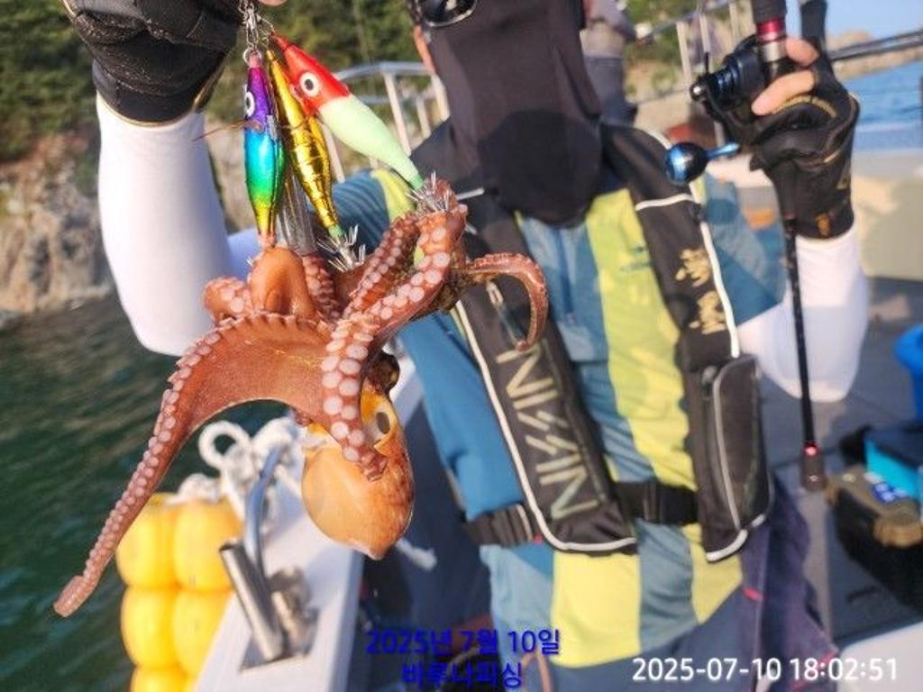 낚시뚜,돌문어,속천항(진해),바루나피싱,낚시뚜2