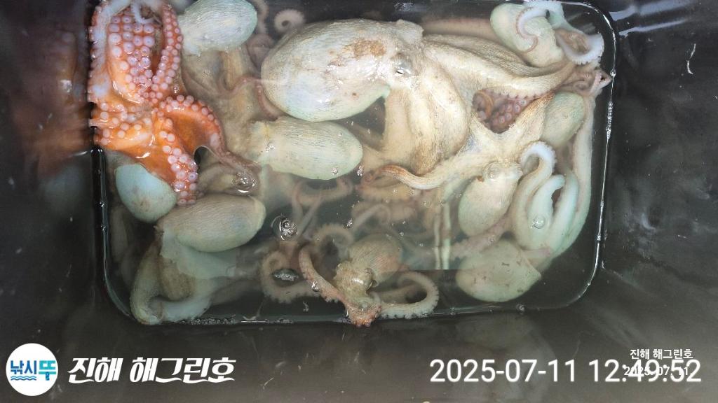 F27235906H.jpg