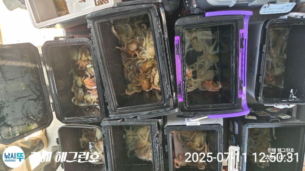 F2723595QT.jpg