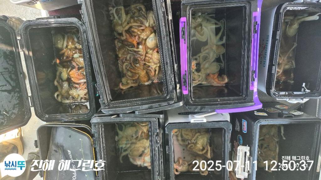 F2723596NQ.jpg