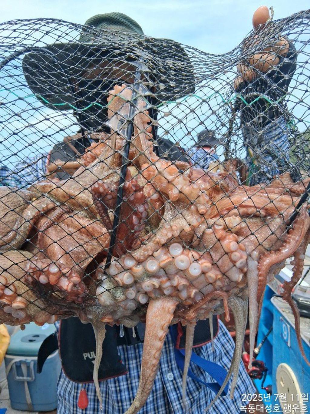 낚시뚜,돌문어,녹동항,녹동대성호,낚시뚜44