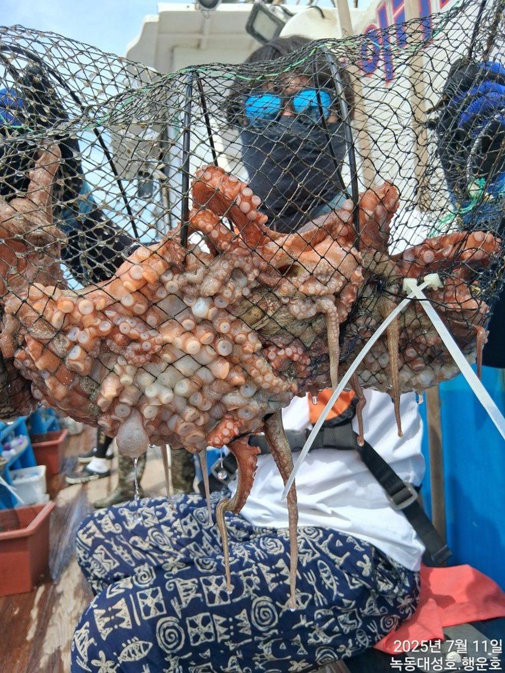 낚시뚜,돌문어,녹동항,녹동대성호,낚시뚜43