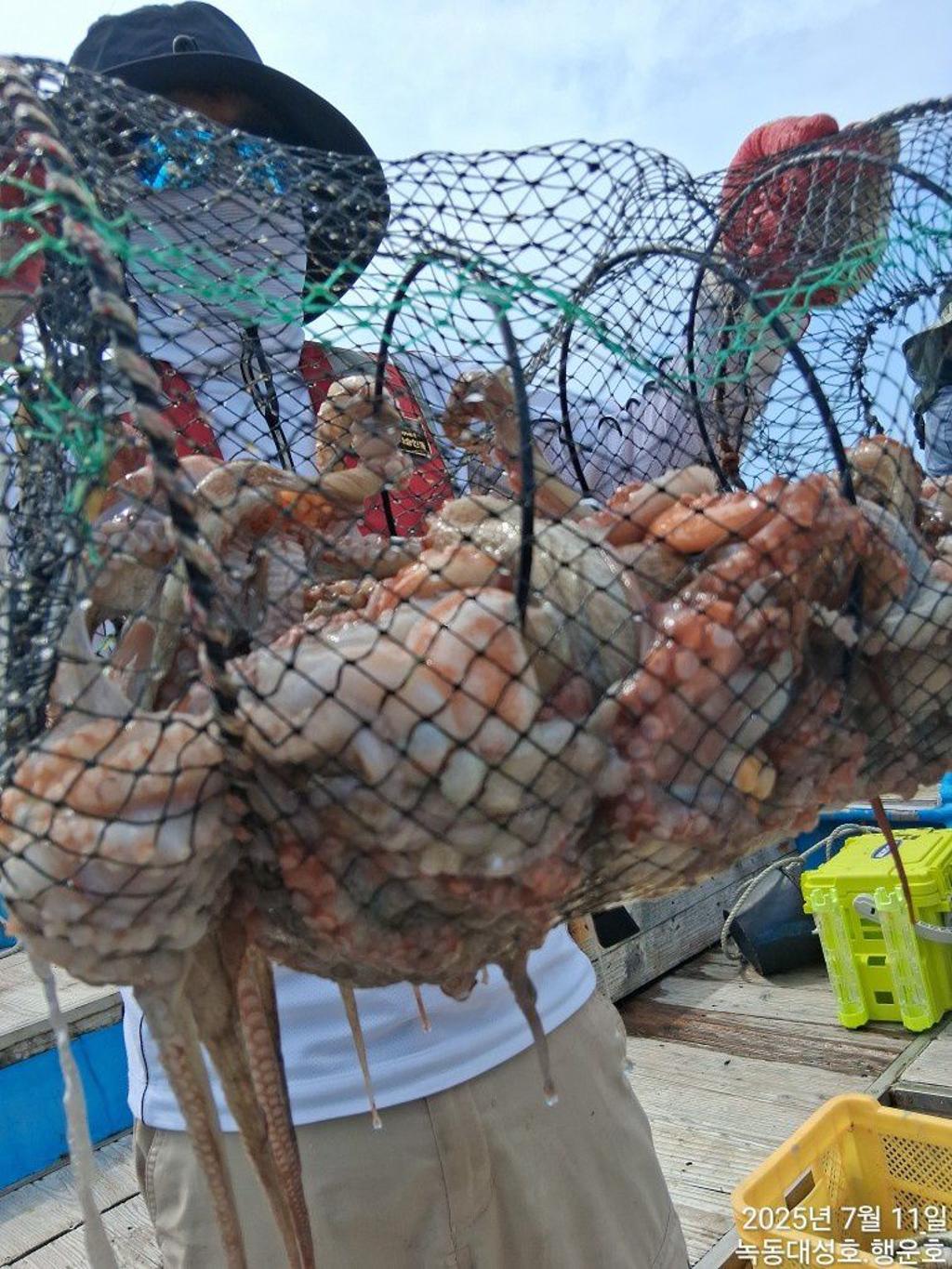 낚시뚜,돌문어,녹동항,녹동대성호,낚시뚜34