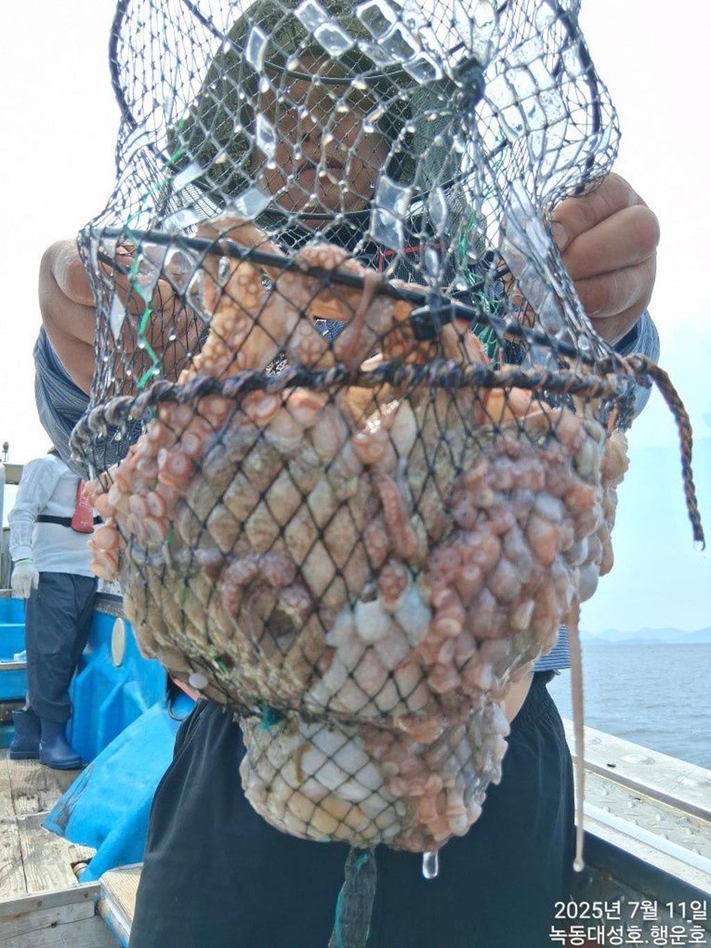 낚시뚜,돌문어,녹동항,녹동대성호,낚시뚜32