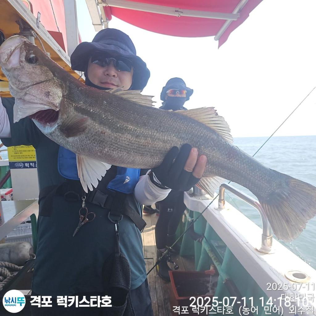F2723856QJ.jpg