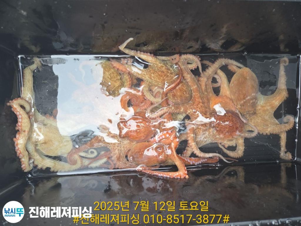 F2723995L8.jpg