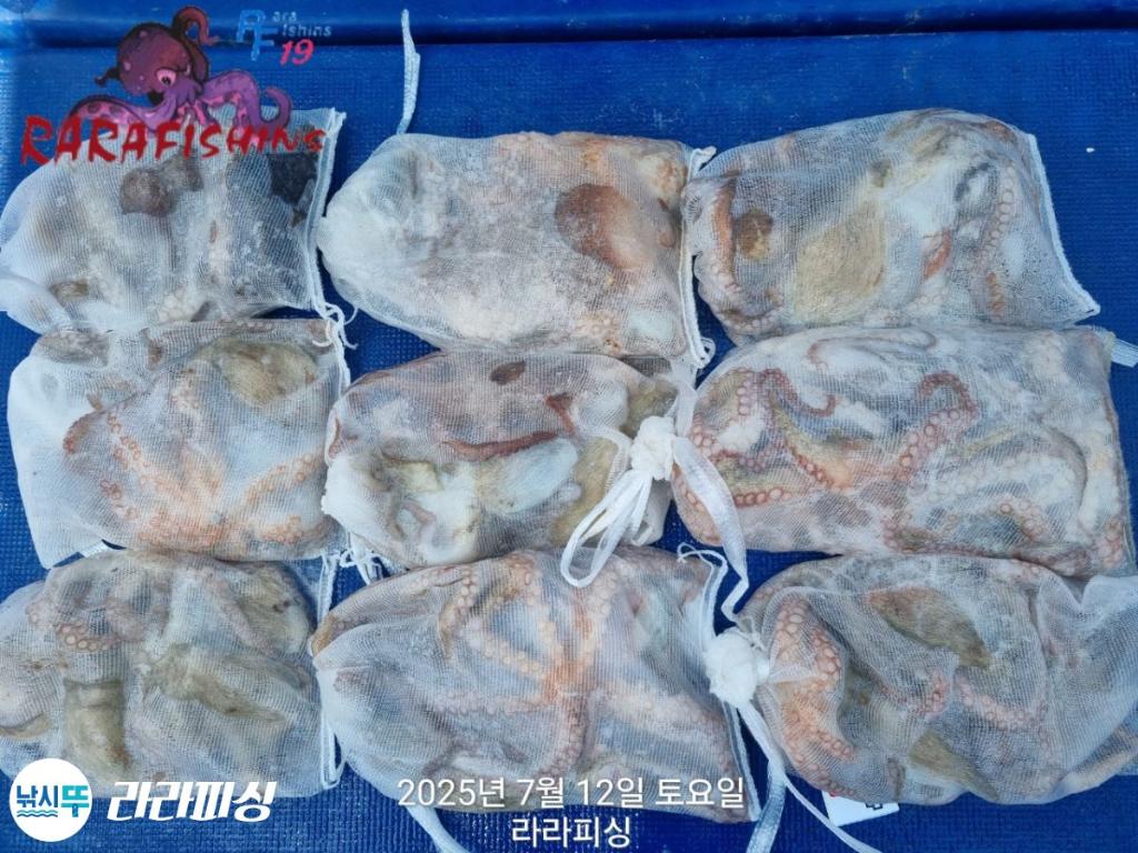 낚시뚜,돌문어,속천항(진해),라라피싱,낚시뚜17