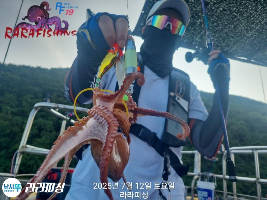 낚시뚜,돌문어,속천항(진해),라라피싱,낚시뚜3