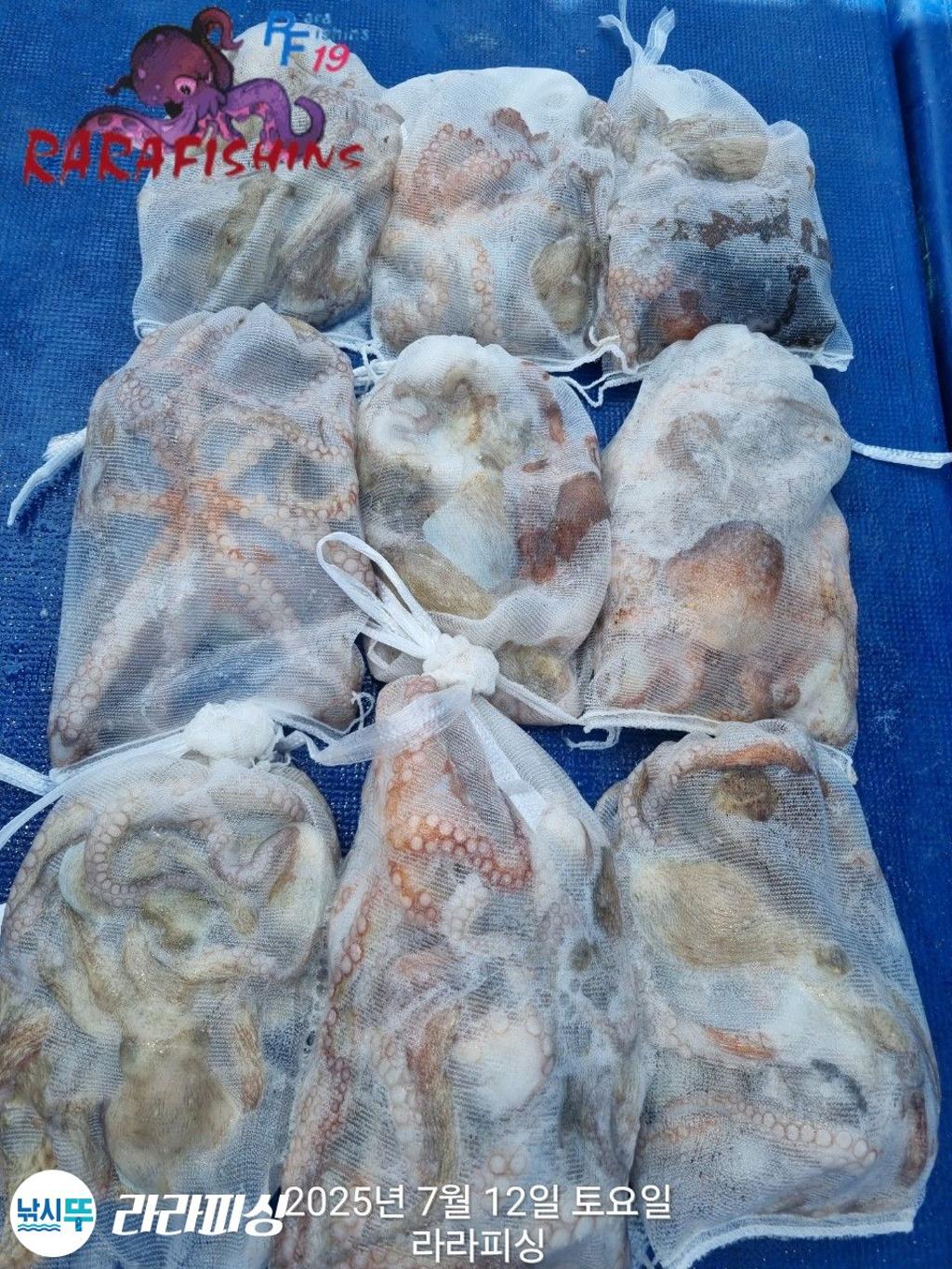낚시뚜,돌문어,속천항(진해),라라피싱,낚시뚜1