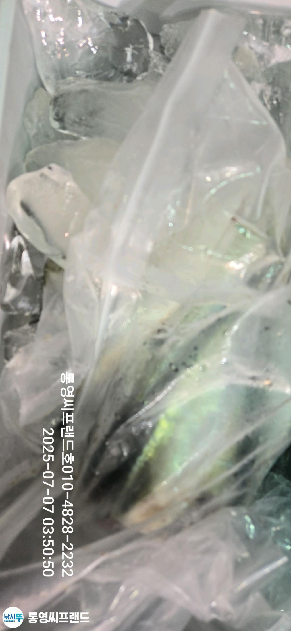F2724369N2.jpg