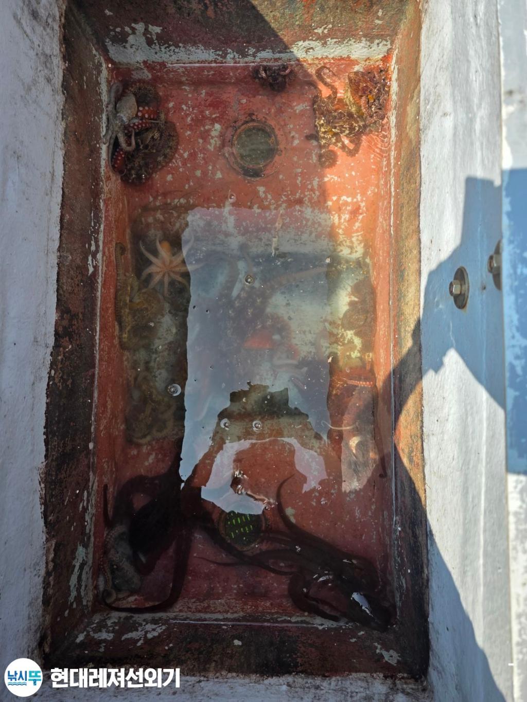 F27243854T.jpg