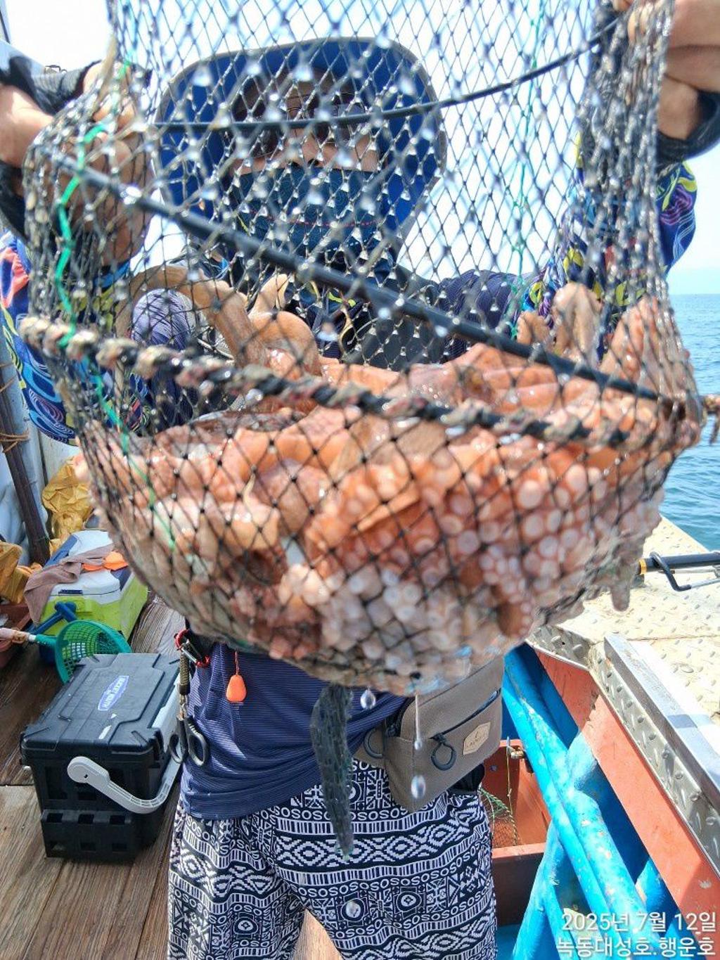 낚시뚜,돌문어,녹동항,녹동대성호,낚시뚜35