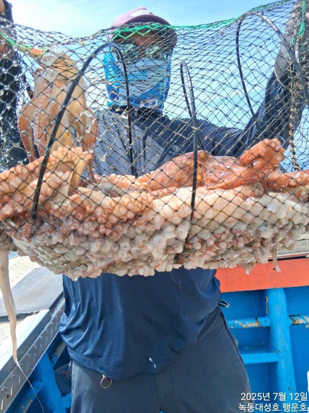낚시뚜,돌문어,녹동항,녹동대성호,낚시뚜33