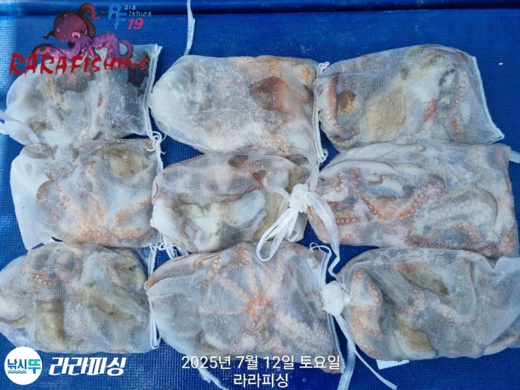 낚시뚜,돌문어,속천항(진해),라라피싱,낚시뚜21