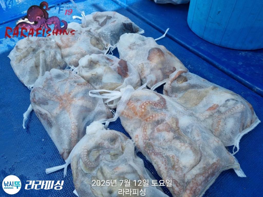 낚시뚜,돌문어,속천항(진해),라라피싱,낚시뚜18