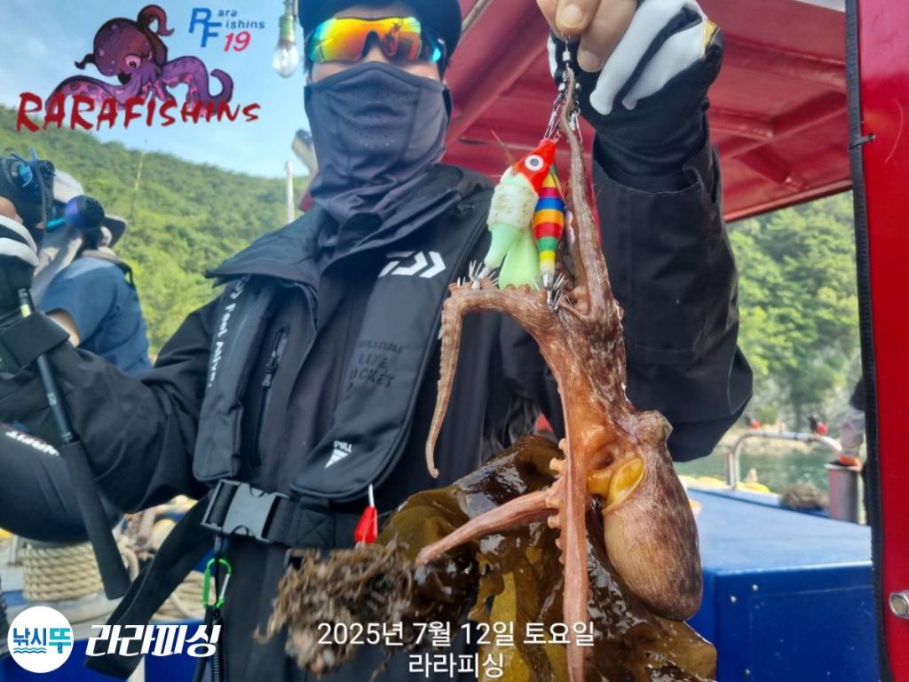 낚시뚜,돌문어,속천항(진해),라라피싱,낚시뚜9