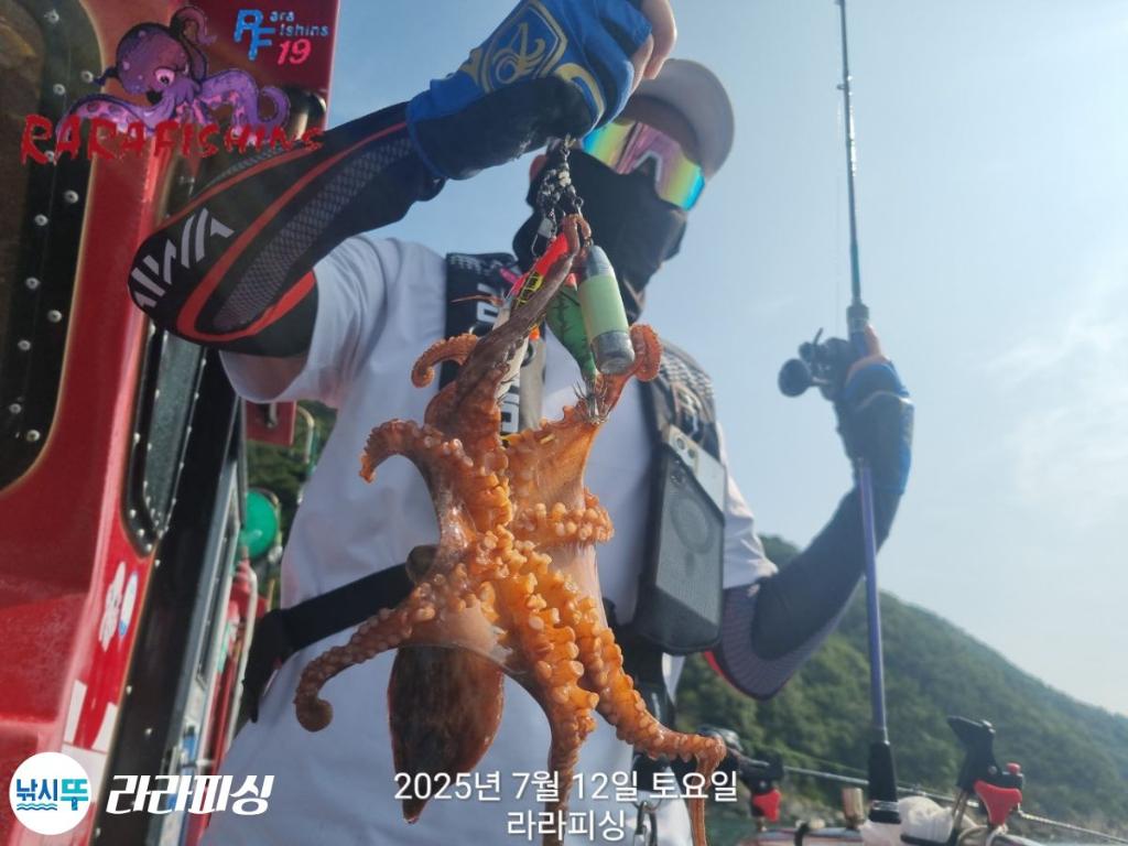 낚시뚜,돌문어,속천항(진해),라라피싱,낚시뚜8