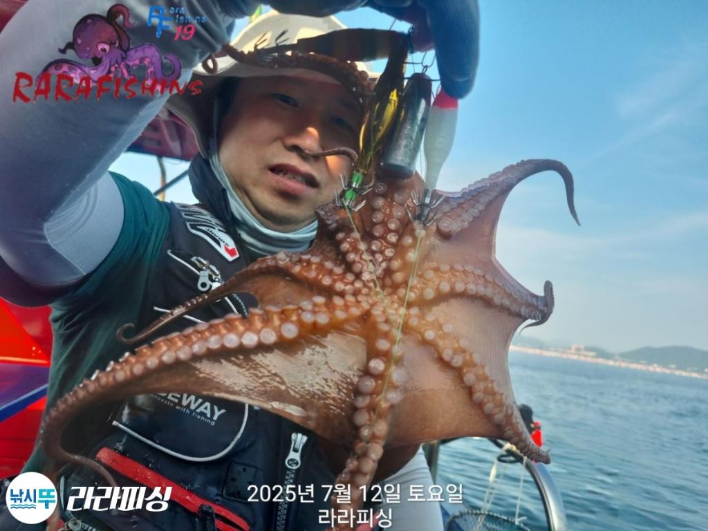 낚시뚜,돌문어,속천항(진해),라라피싱,낚시뚜3