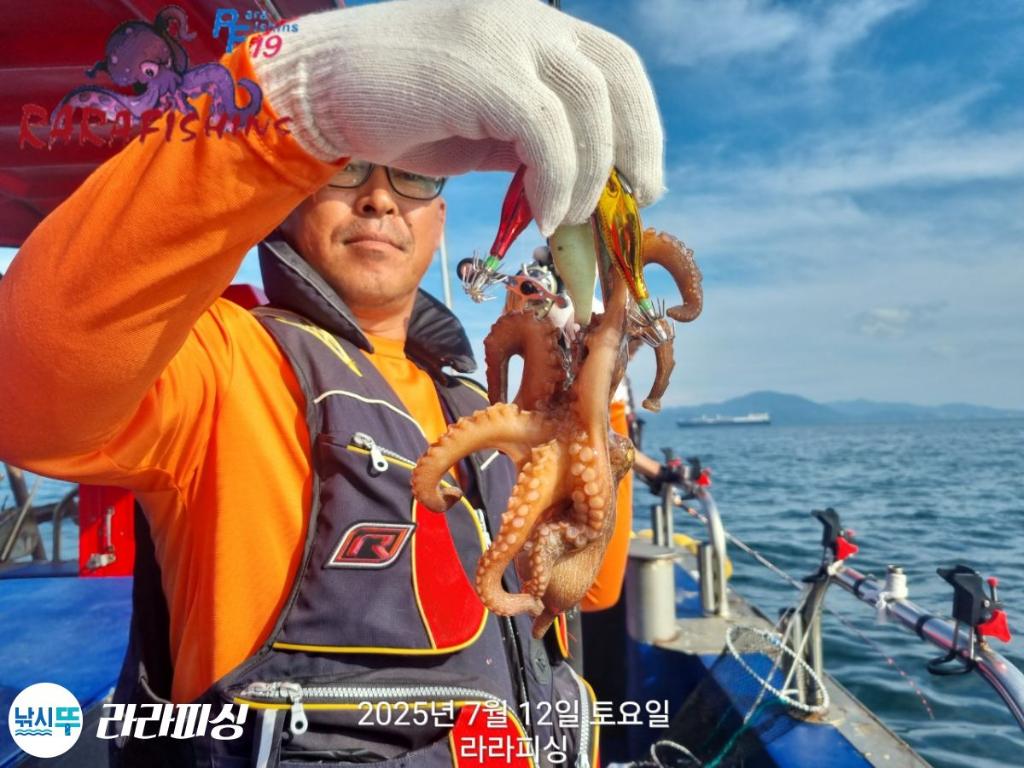 낚시뚜,돌문어,속천항(진해),라라피싱,낚시뚜5