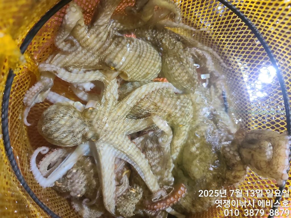 F2724843CI.jpg