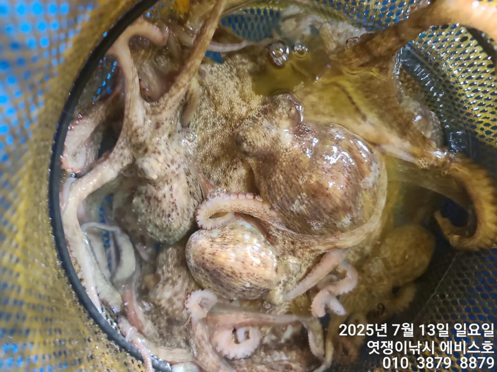 F272484762.jpg