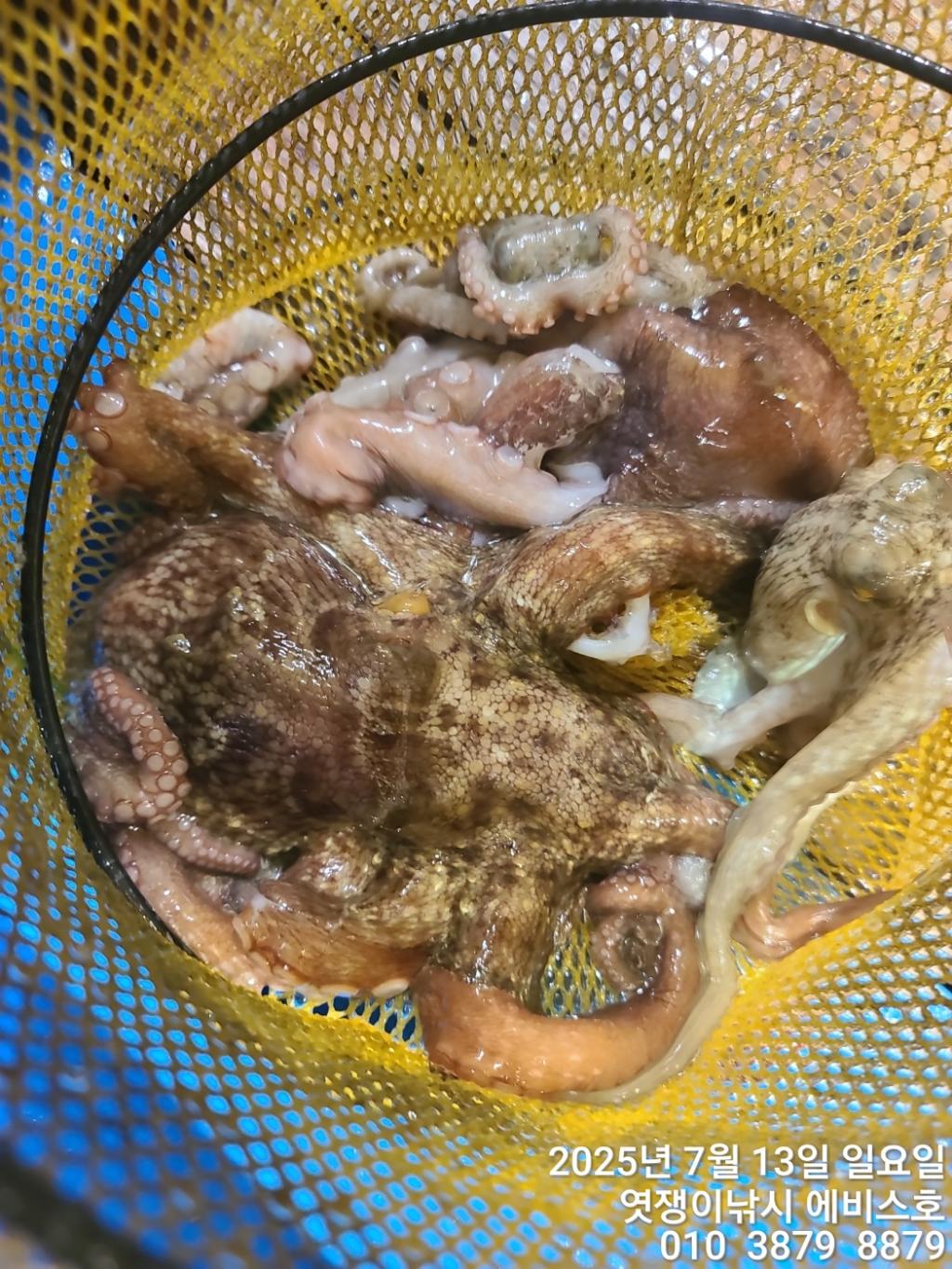 F272486072.jpg