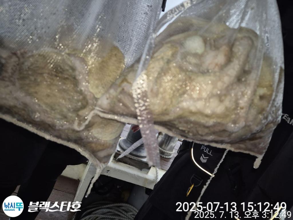 F272487123.jpg