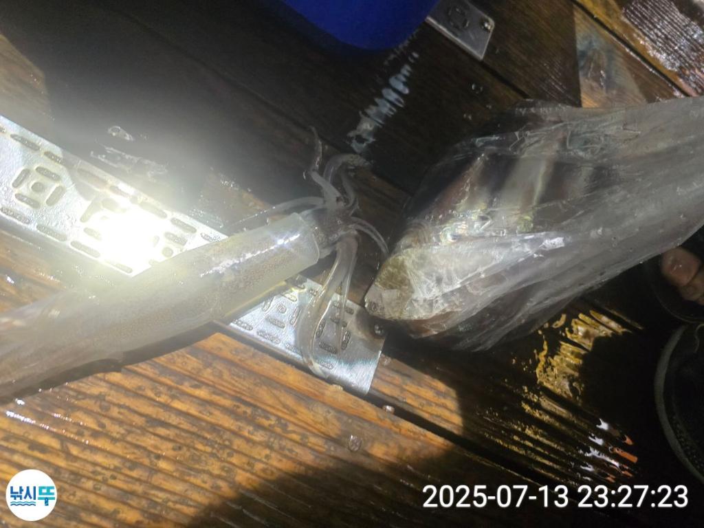 F2724931UA.jpg