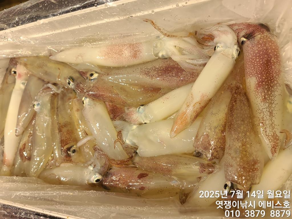 F2725032F0.jpg