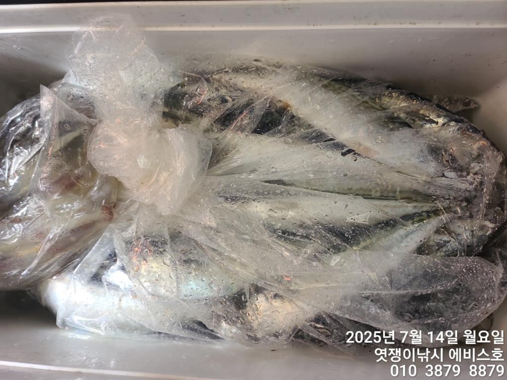F2725037R6.jpg