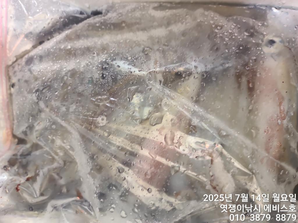 F2725038RN.jpg