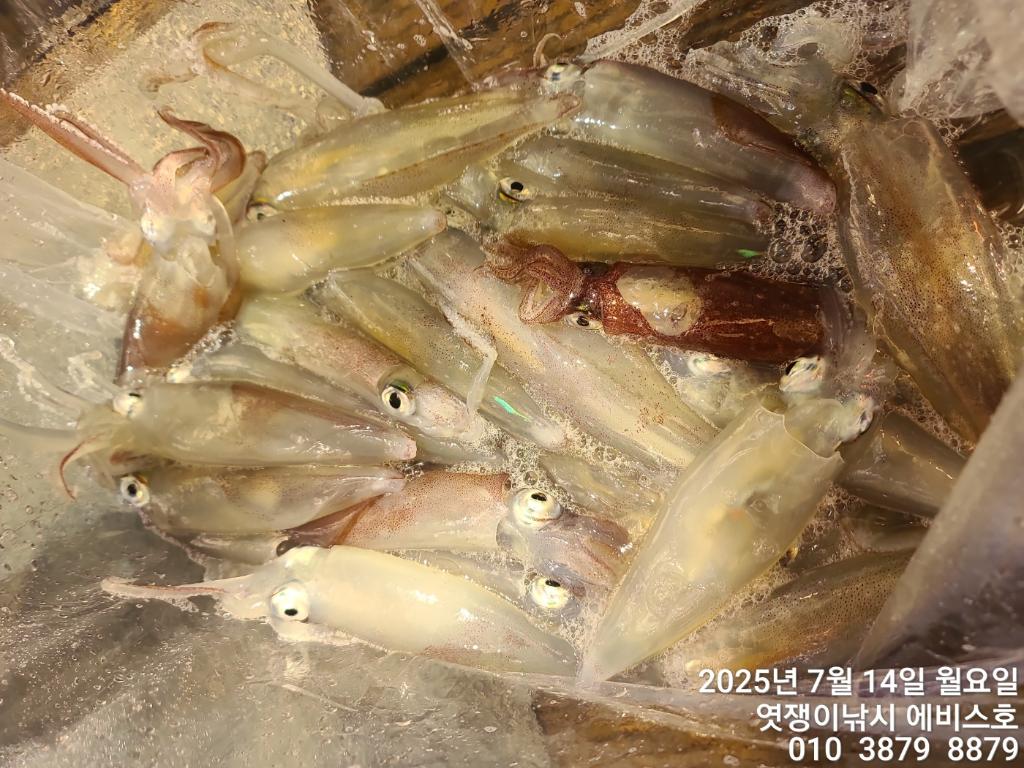 F2725042MG.jpg