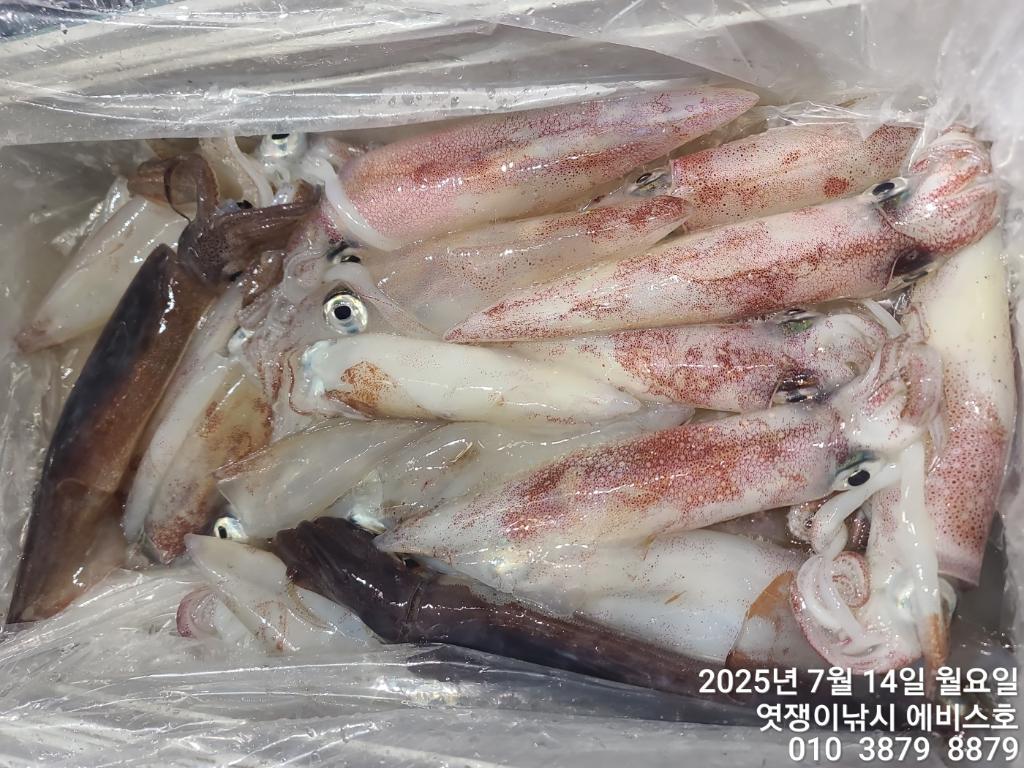 F272504353.jpg