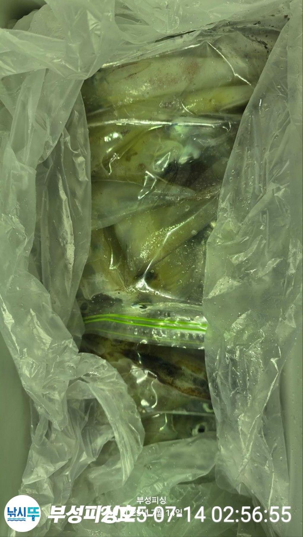 F27250602O.jpg