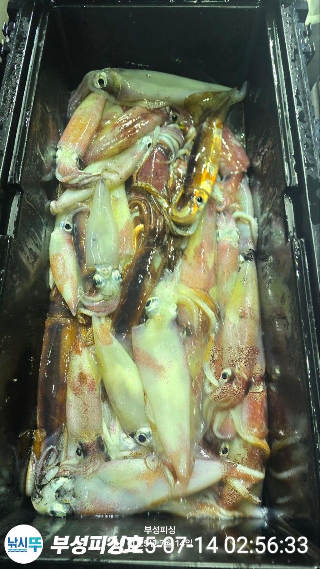 F2725061YY.jpg