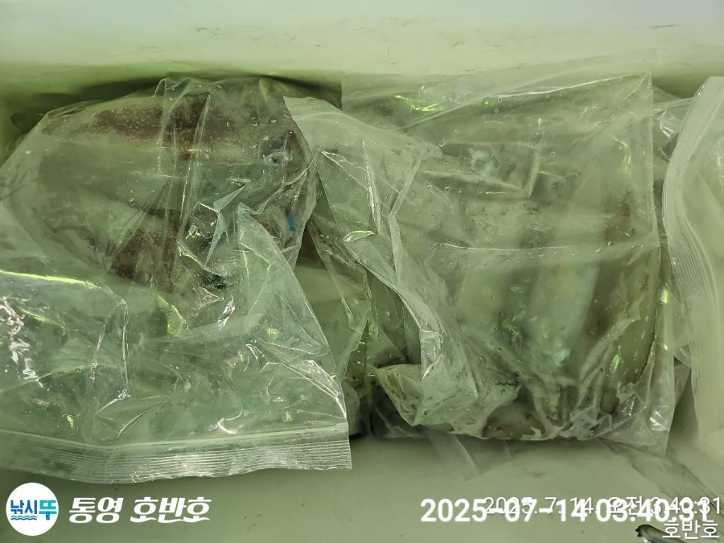 F2725159TW.jpg